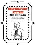 Respiratory System Label the Diagram