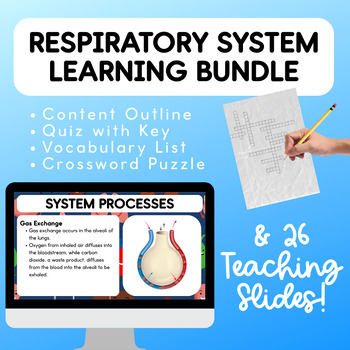 Preview of Respiratory System Learning Bundle