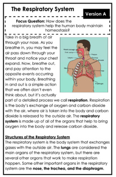 Preview of Respiratory System Leveled Text Set Booklets