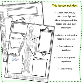 Respiratory System Article and Sketch Note Graphic Organizer Activity