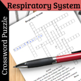 Respiratory System PDF Crossword Puzzle