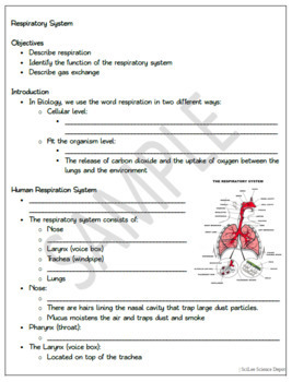 Respiratory System: PowerPoint, Student Guided Notes, Worksheet | TpT