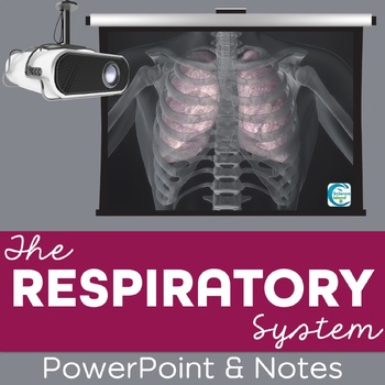 Respiratory System PowerPoint and Notes (Distance Learning) by Science