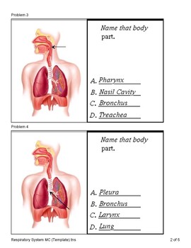 respiratory journey quiz answers