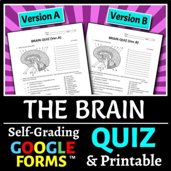 Brain Quiz, Project NEURON