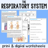Respiratory System - Reading Comprehension Worksheets