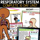 Respiratory System | Respiration | Breathing