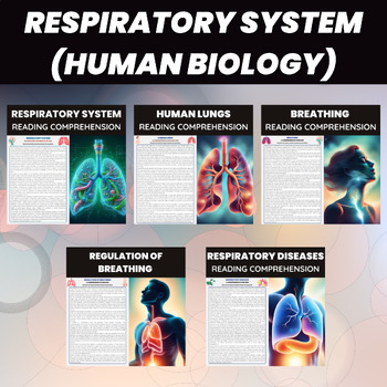 Preview of Respiratory System |  Respiratory Organs, Breathing, Diseases | Human Biology