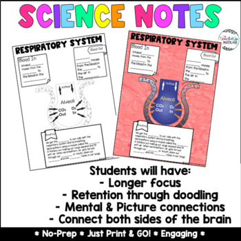 Respiratory System Science Notes by A Teacher's Wonderland | TpT
