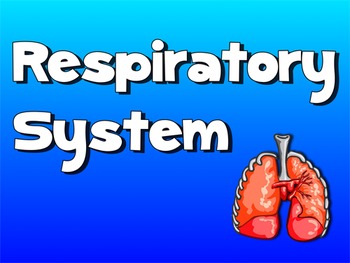 Preview of Respiratory System Song