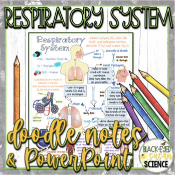 Preview of Respiratory System Doodle Notes & Quiz + PowerPoint