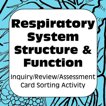Preview of Respiratory System Structure Function Card Sort for High School & AP Biology