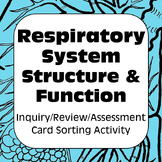 Respiratory System Structure Function Card Sort for High S