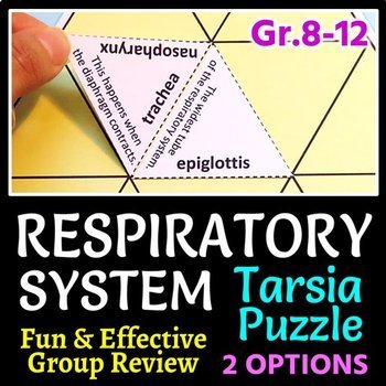 Preview of Respiratory System Tarsia Puzzle - Review Game (2 Difficulty Levels)