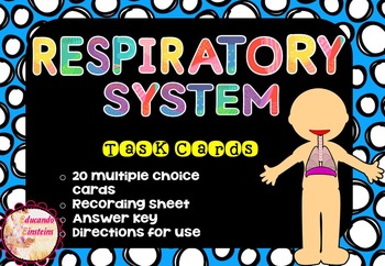 Preview of Respiratory System Task Cards