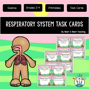 Preview of Respiratory System Task Cards {Set of 16 Cards}