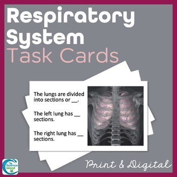 Preview of Respiratory System Task Cards - Anatomy and Physiology Activity