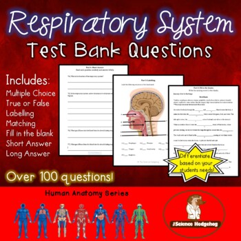 Preview of Respiratory System Test Questions