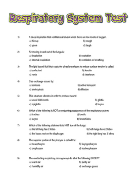 Respiratory System Test with Study Guide and Answer Key by Amazing Anatomy