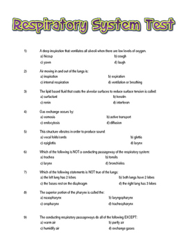 respiratory system critical thinking questions answers