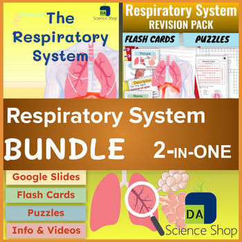 Preview of Respiratory System - (The Lungs & Breathing) BUNDLE
