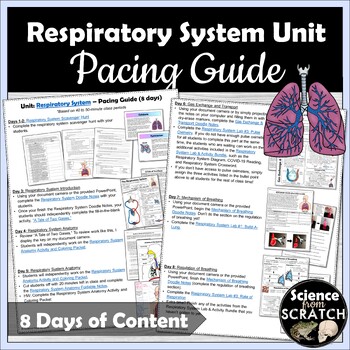 Preview of Respiratory System Unit Pacing Guide