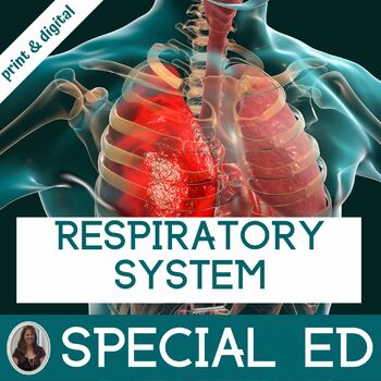 Preview of Respiratory System Anatomy and Physiology Curriculum Special Education Science