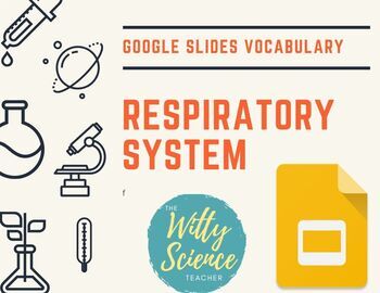 Preview of Respiratory System Vocabulary Slides