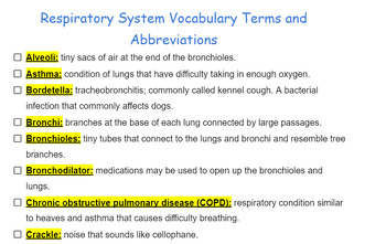 Preview of Respiratory System Vocabulary Terms and Abbreviations