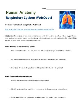 Preview of Respiratory System WebQuest with Answer Key