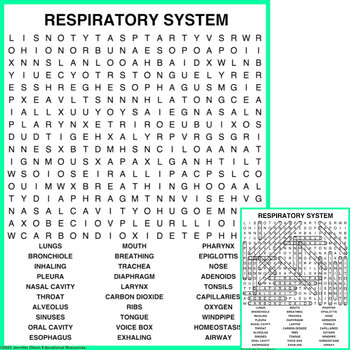 Preview of Respiratory System Word Search