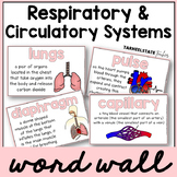 Parts of Respiratory System and Circulatory System Science