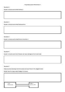 Respiratory System Worksheet by Science and Maths | TPT