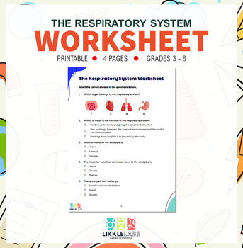Preview of Respiratory System Worksheet DISTANCE LEARNING