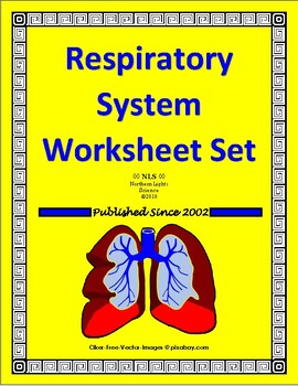 Preview of Respiratory System Worksheet Set