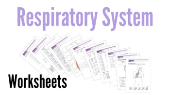 Preview of Respiratory System Worksheets