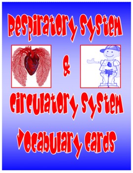 Preview of Respiratory System and Circulatory System Vocabulary Cards