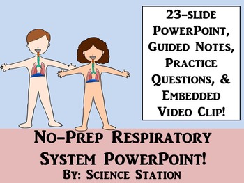 Preview of Respiratory System