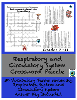 Preview of Respiratory and Circulatory System Crossword Puzzle