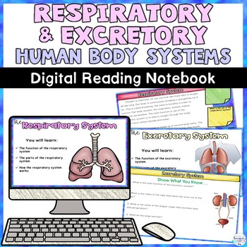 Preview of Respiratory and Excretory System Digital Activity