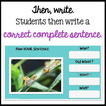 Respond to Pictures REPTILES & AMPHIBIANS Sentence Writing Google Classroom