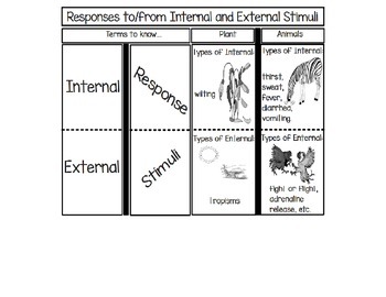 Preview of Responses to/from Internal and External Stimuli