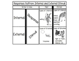 Responses to/from Internal and External Stimuli