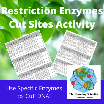 Preview of Restriction Enzyme Cut Sites Practice Activity