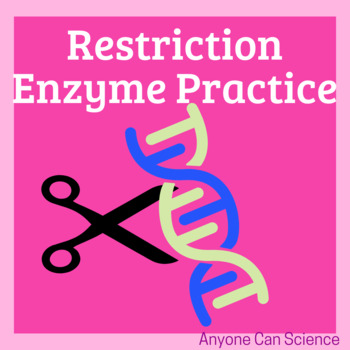 Restriction Enzymes Teaching Resources | TPT