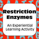 Restriction Enzymes: A Genetic Engineering Restriction End