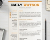 Classic Resume template format