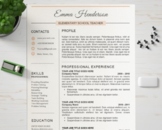 Teacher Resume Template CV Design