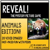Reveal! The Mystery Picture Game ANIMALS EDITION!