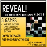 Reveal! The Mystery Picture Game BUNDLE!